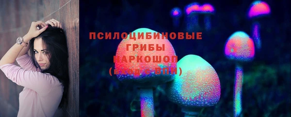 Альфа ПВП Каменка