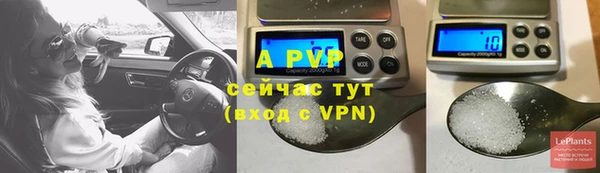 спайс Каменногорск
