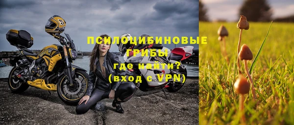 Альфа ПВП Каменка