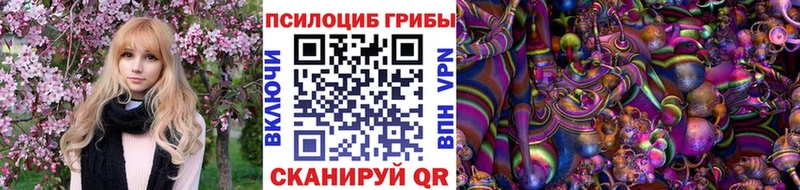 Галлюциногенные грибы Psilocybine cubensis  Купить закладки  Данилов 